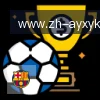 爱游戏体育 logo